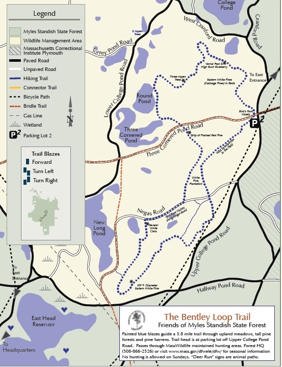 Bentley Loop Map